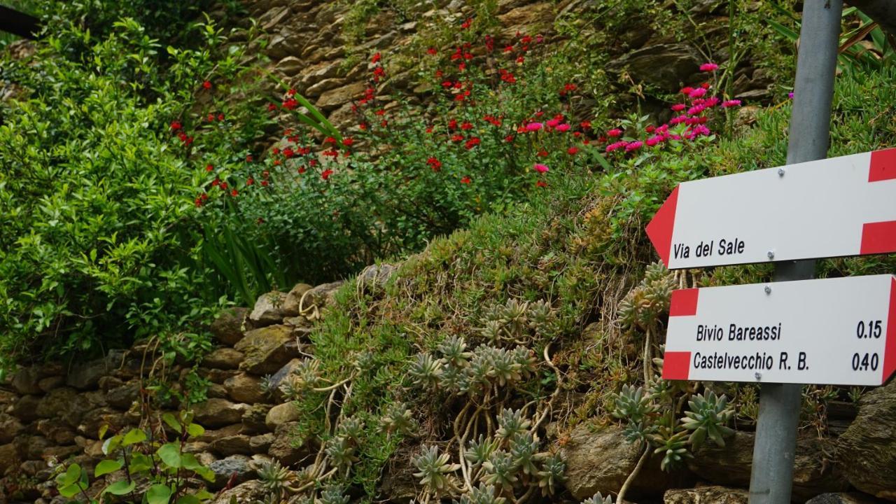 La Libellula Rossa Bed & Breakfast Erli Dış mekan fotoğraf